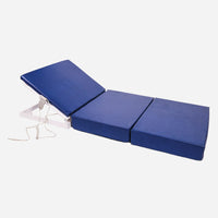 Back Rest Motorized