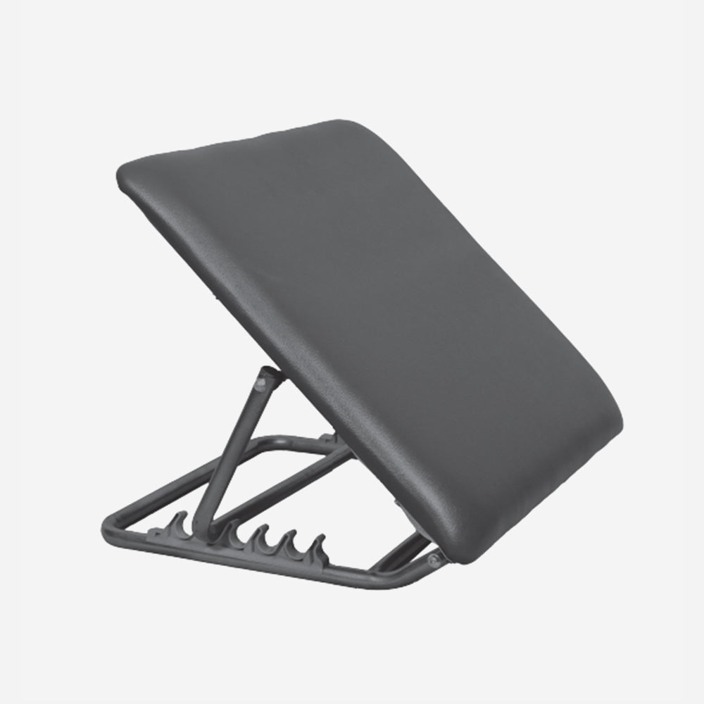 Back Rest Premium
